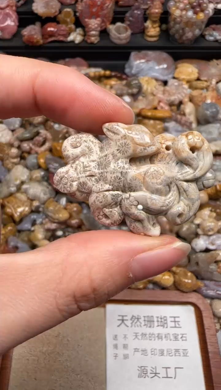 硅化珊瑚（珊瑚玉）未镶嵌颈饰723