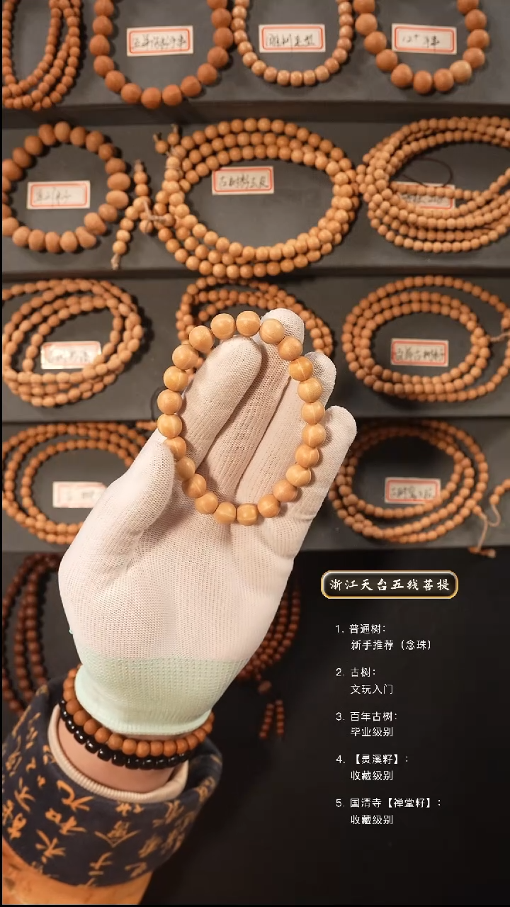 五线菩提吊坠手串q