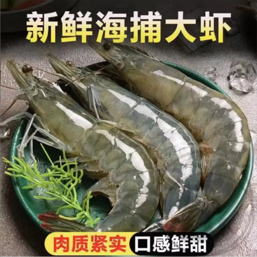 5斤大大号2030海洋大虾13-16cm左右新鲜活虾锁冻 顺丰冷冻发货b3
