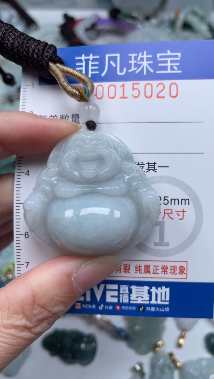 颈饰未镶嵌翡翠15020