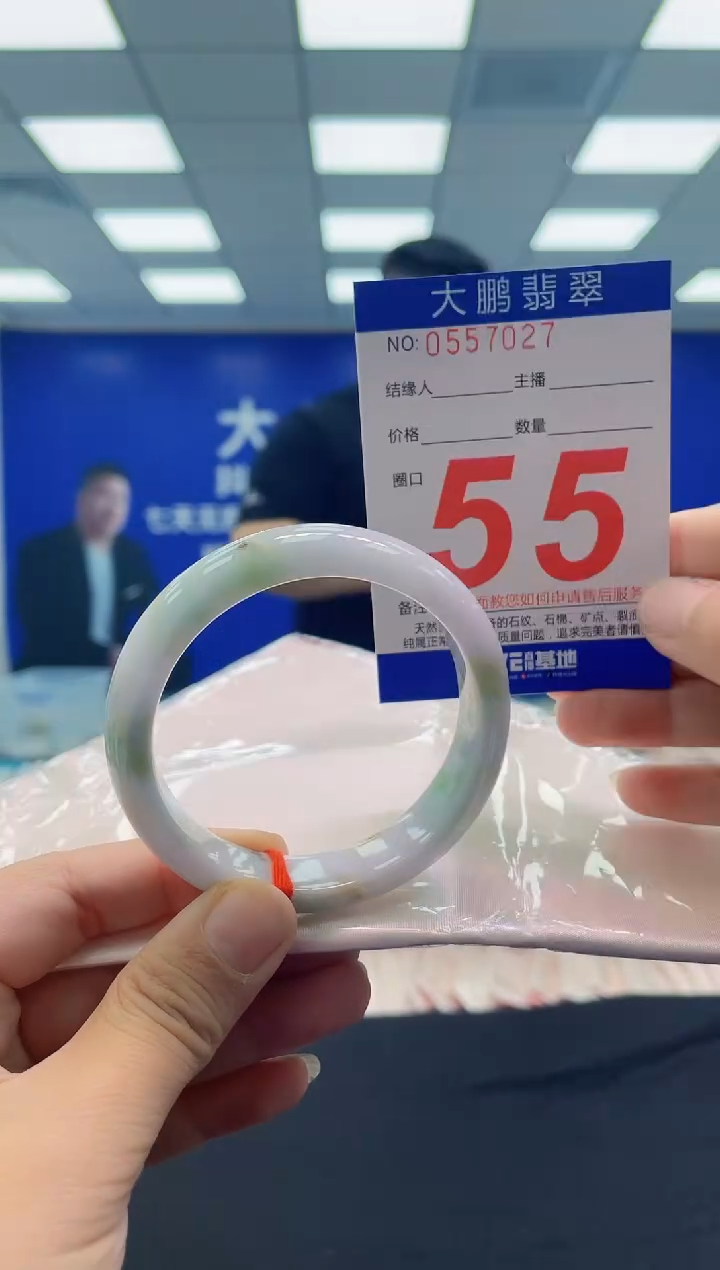 未镶嵌手镯翡翠 AAAAAAAAAA