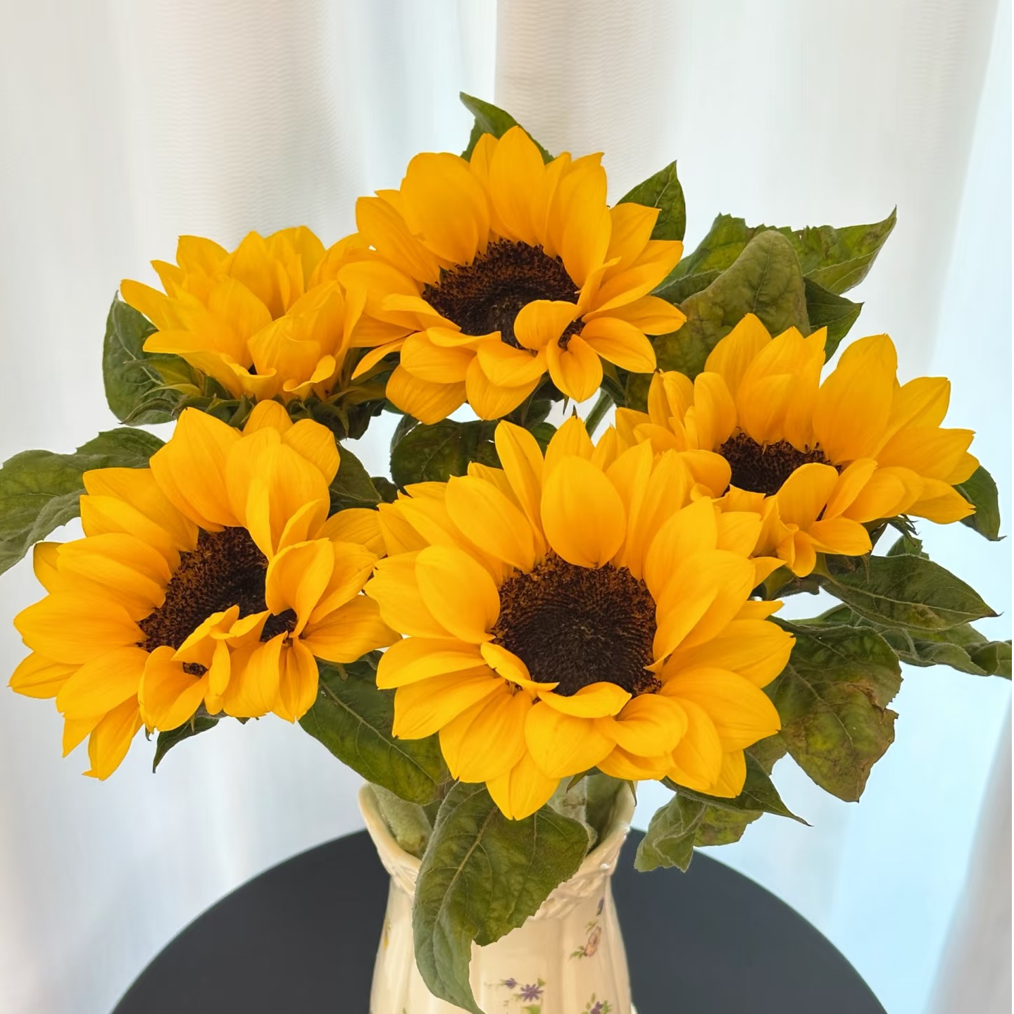 向日葵太阳花鲜花云南基地直发家用办公室水养鲜花装饰云南鲜切花