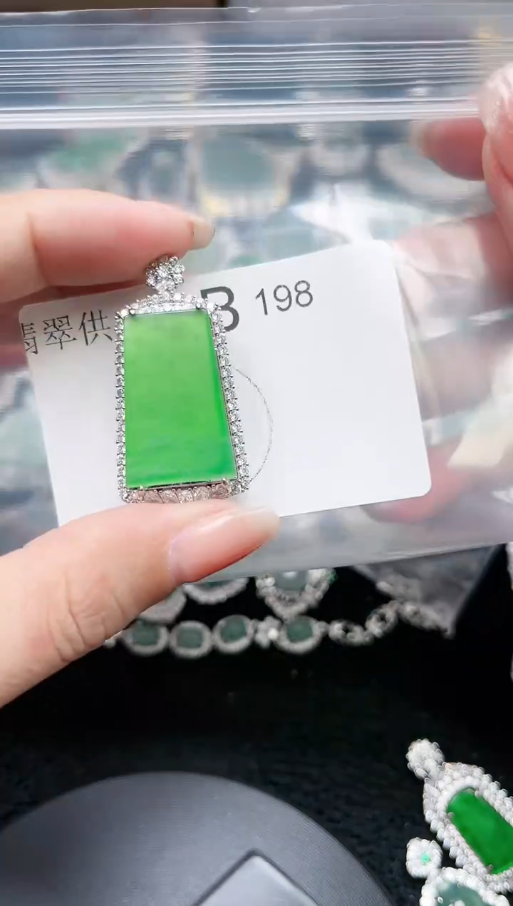 【闪购商品】翡翠颈饰未镶嵌198赠皮绳