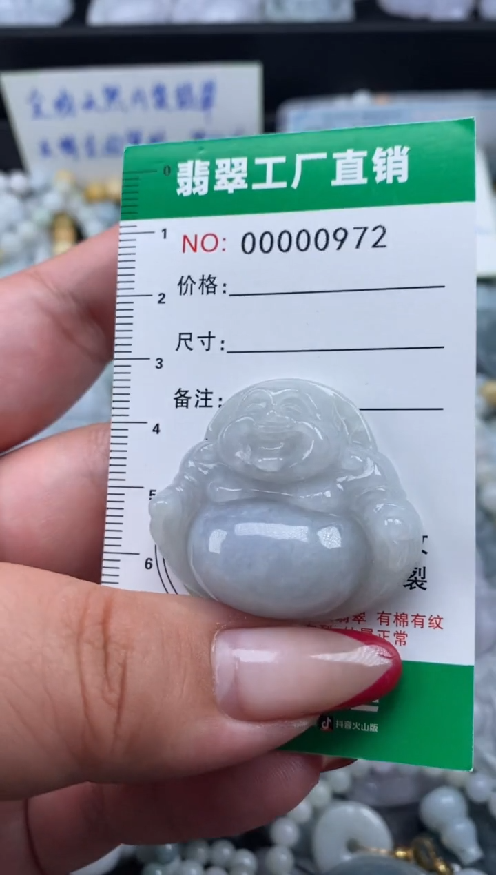 翡翠未镶嵌颈饰天然A货翡翠0972