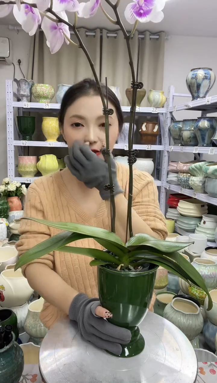 11.29直播链接  高度：17  口径：11