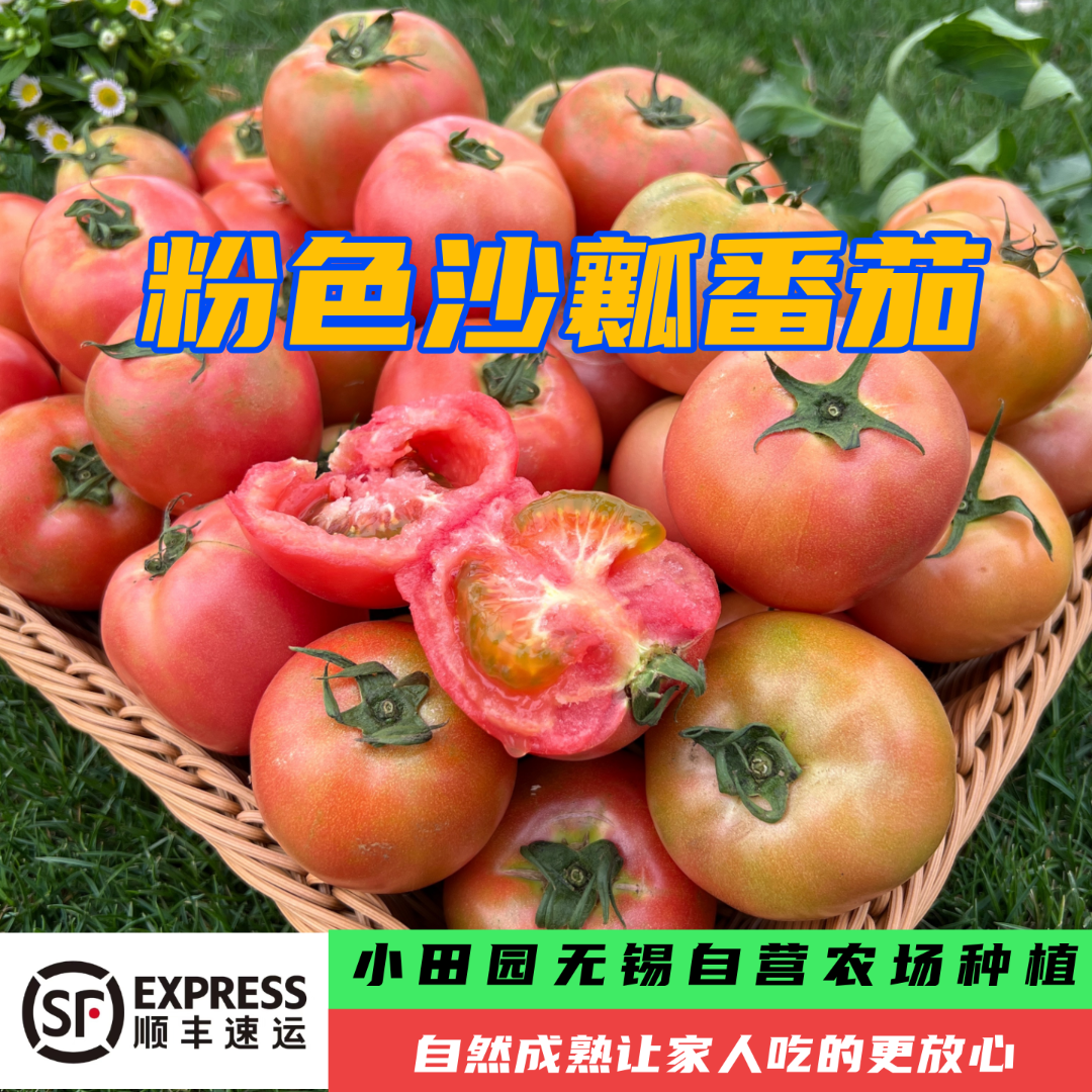 小田园粉色沙瓤番茄自然熟西红柿2-5斤新鲜江苏省