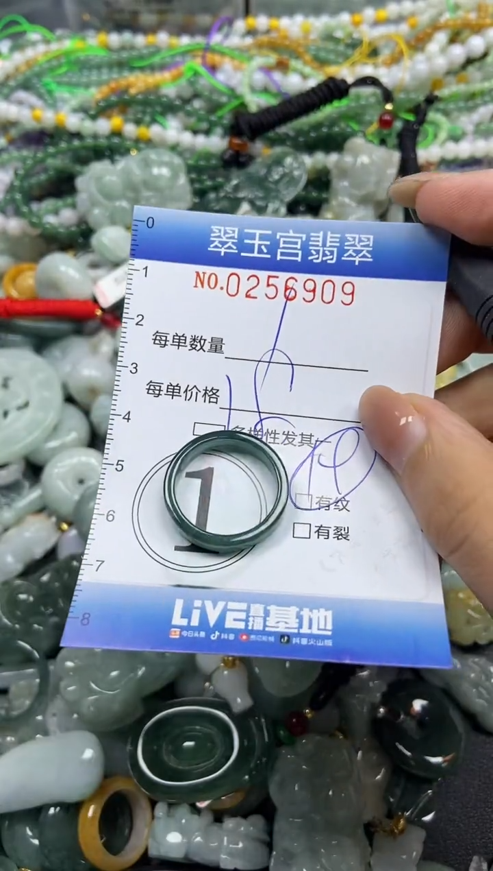 颈饰未镶嵌翡翠闪购C0256909