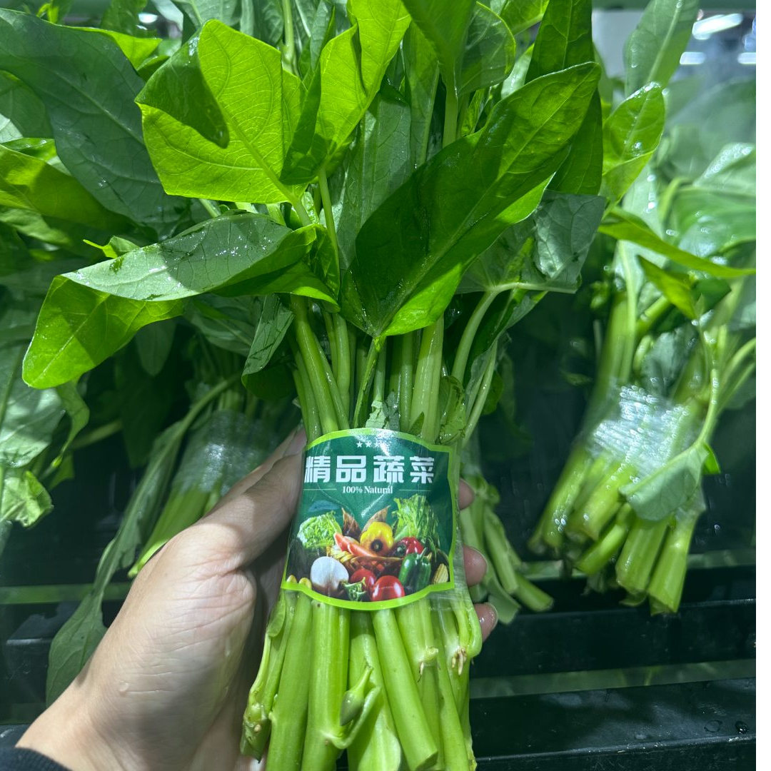 精品空心菜/捆 约500-550g 