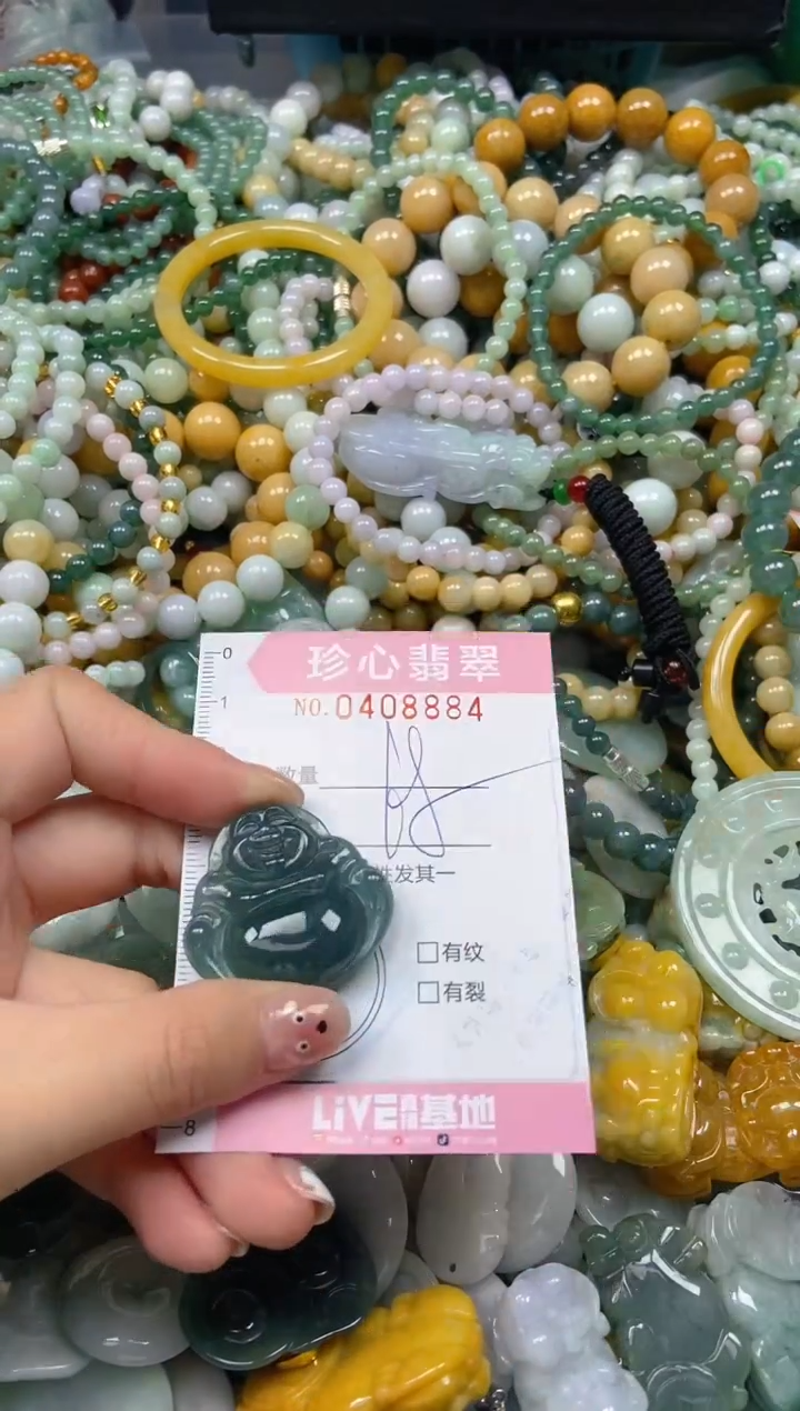 颈饰未镶嵌翡翠闪购0408884