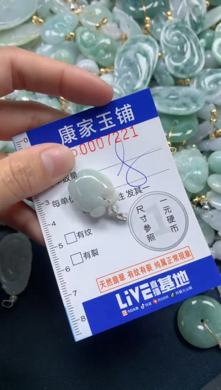 颈饰未镶嵌翡翠7221