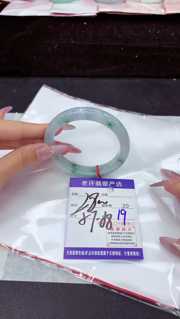 未镶嵌手镯翡翠1