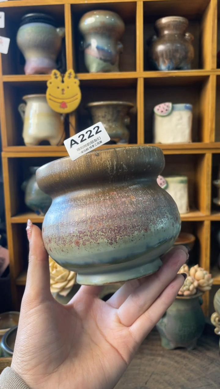 222内口9【多肉花盆多肉盆】