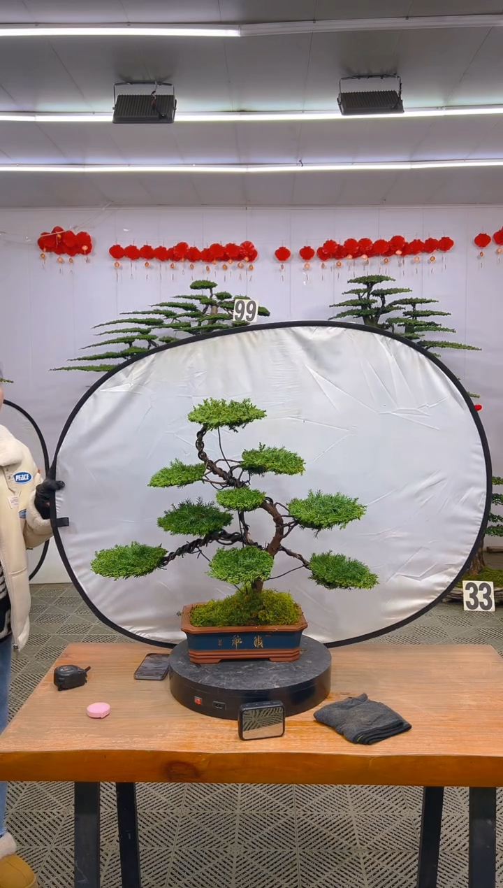 【闪购商品】盆景1