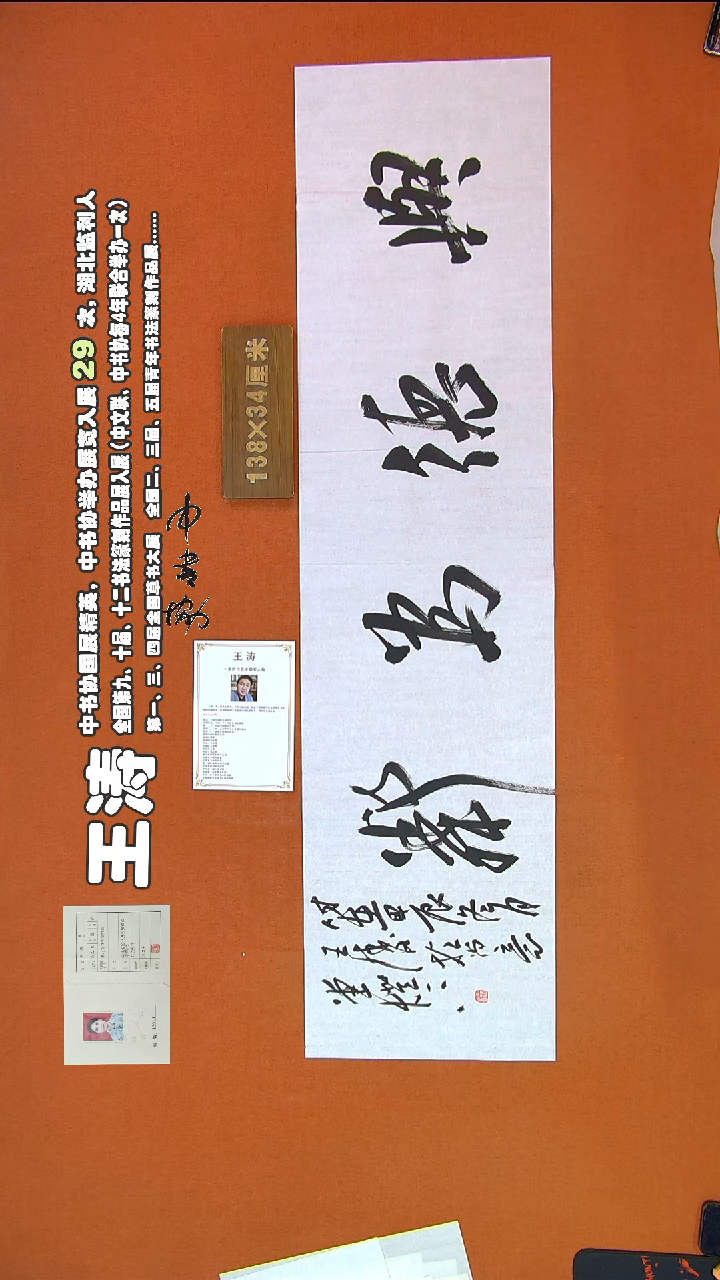 【闪购商品】书法334王涛书法作品