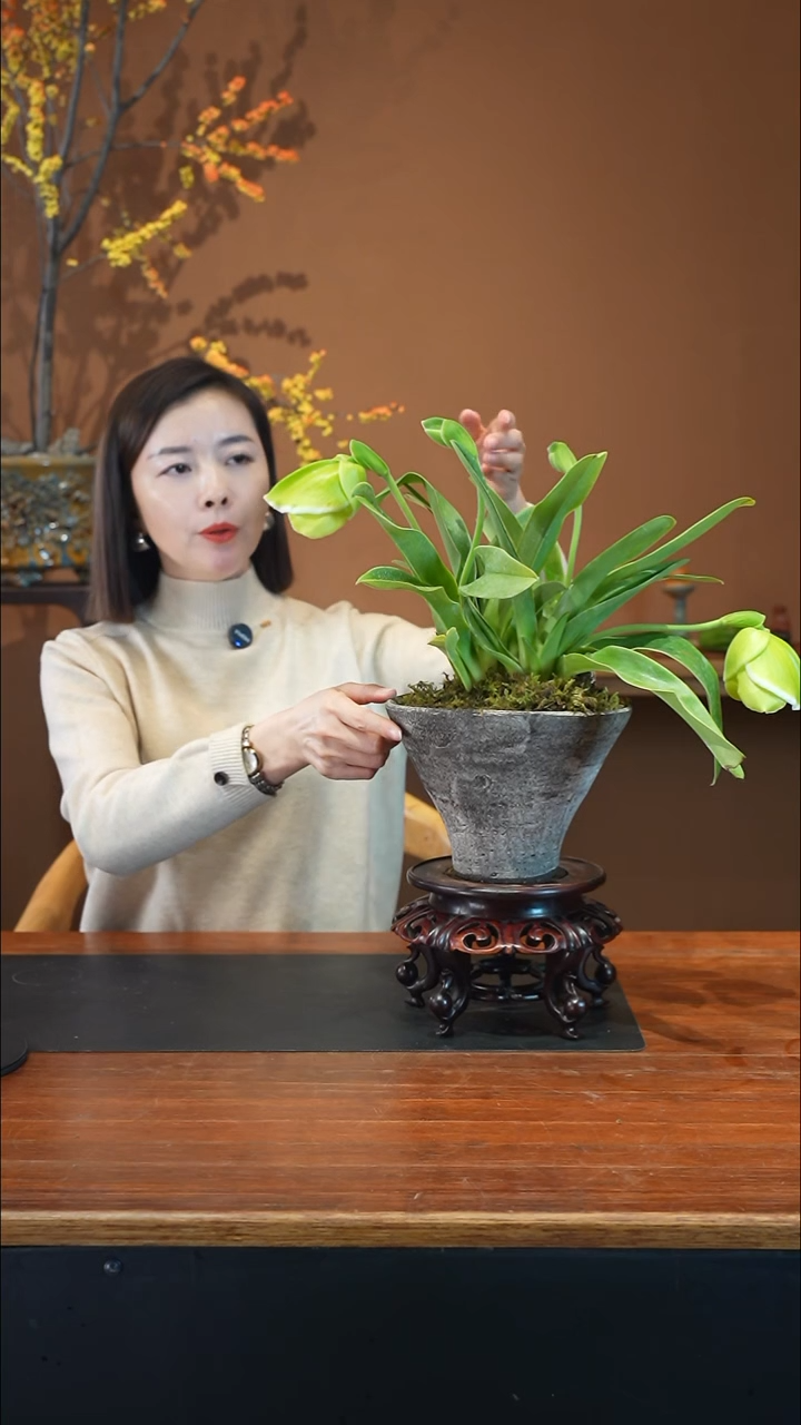 全部花朵绿肉饼4枝陶盆盆景盆景盆景