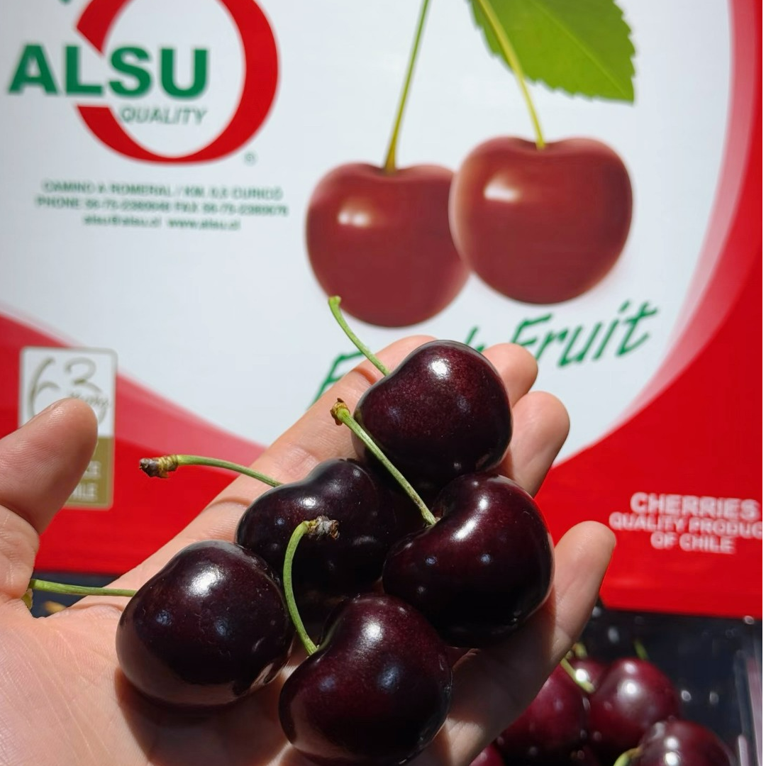 【北京同城小时达】ALSU奥数空运智利车厘子5J400g-2000g 进口超新鲜脆甜多汁浓郁 内附果径卡其他品种智利