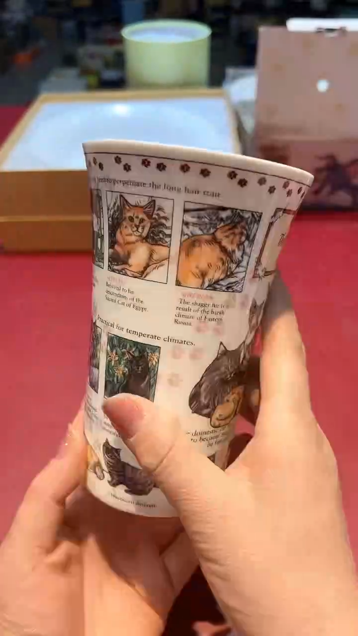 【闪购商品】瓷片锅碗瓢盆一件不剩