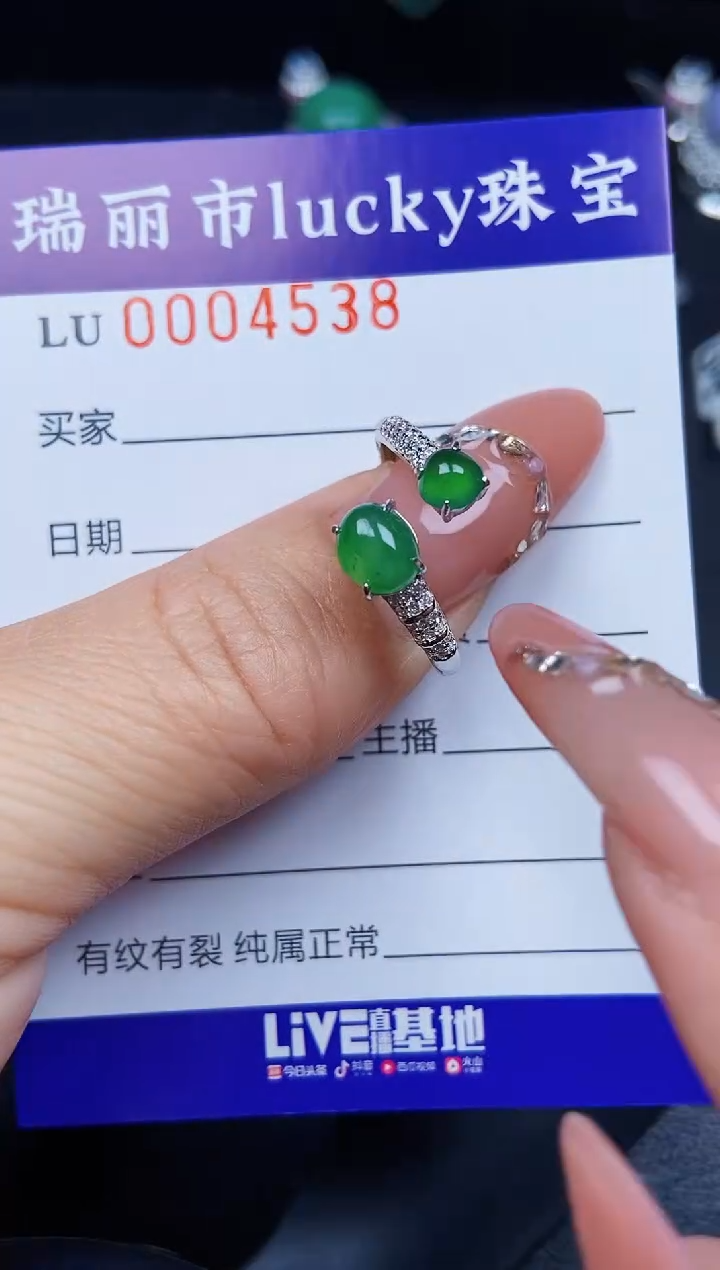 翡翠银S925镶嵌颈饰4538