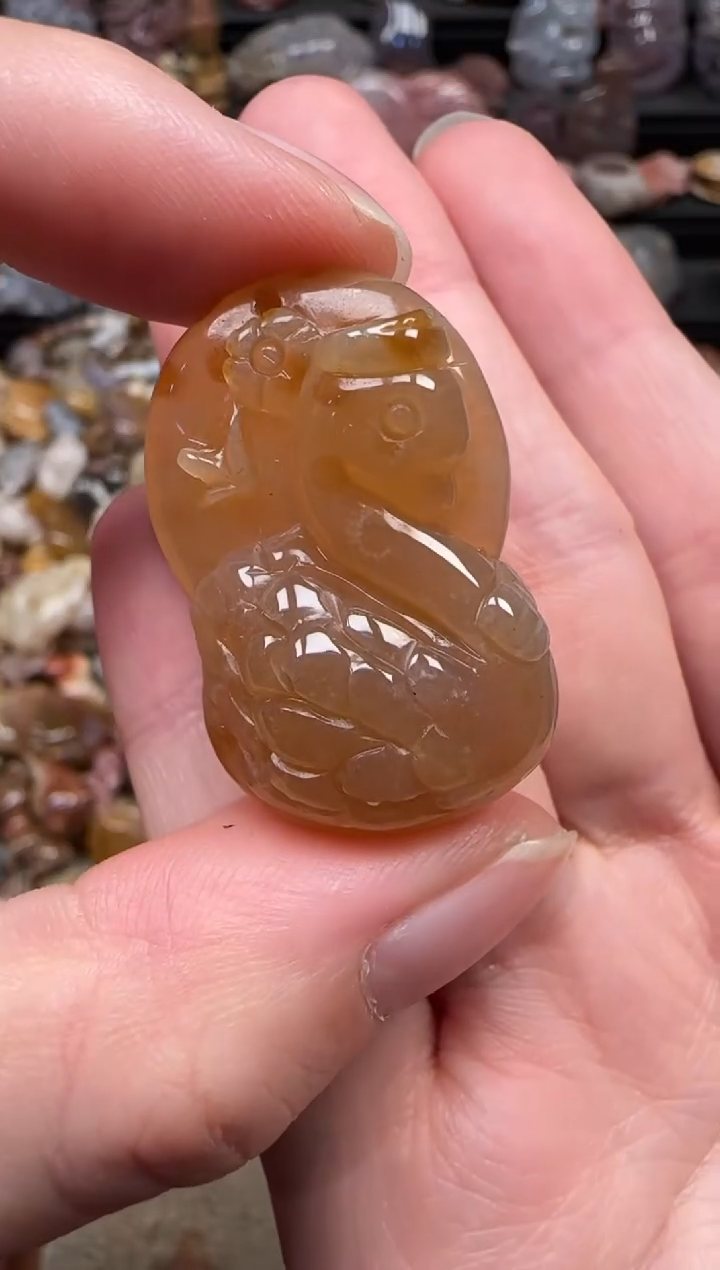 颈饰未镶嵌硅化珊瑚（珊瑚玉）597