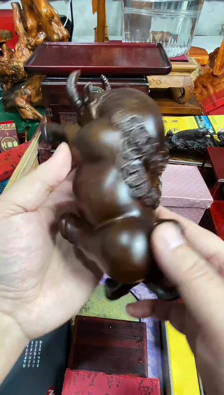 木质20牛直播推荐直播推荐