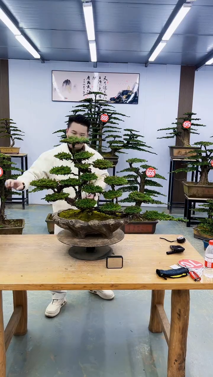 无花朵000000000000000