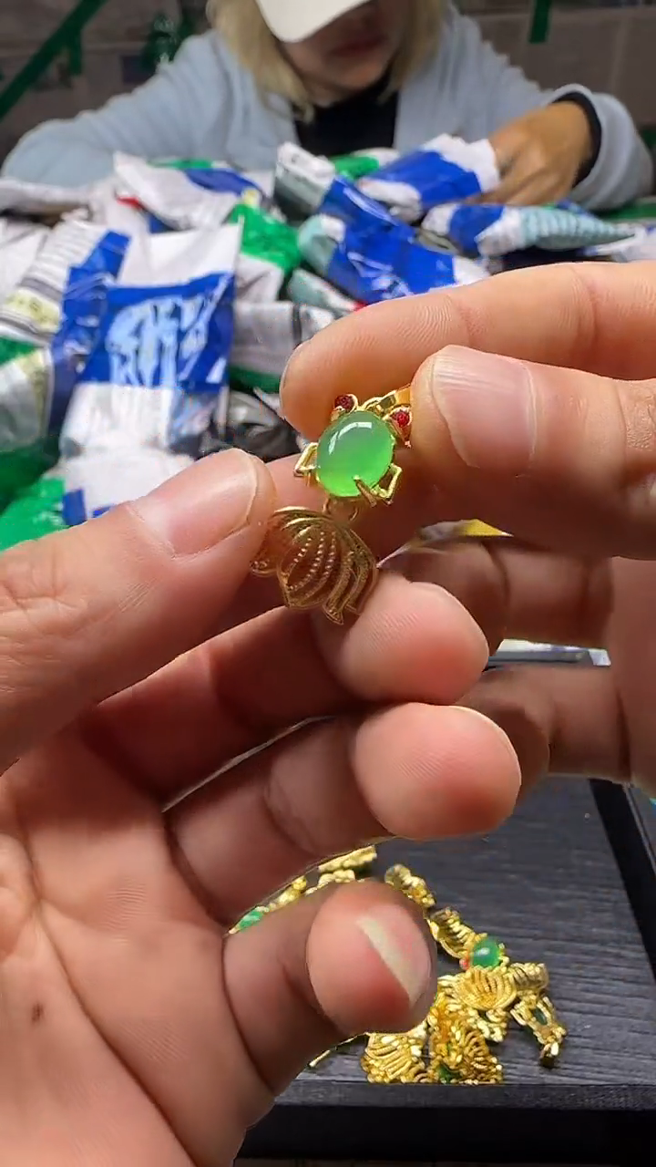 大V收野货-所见即所得X02