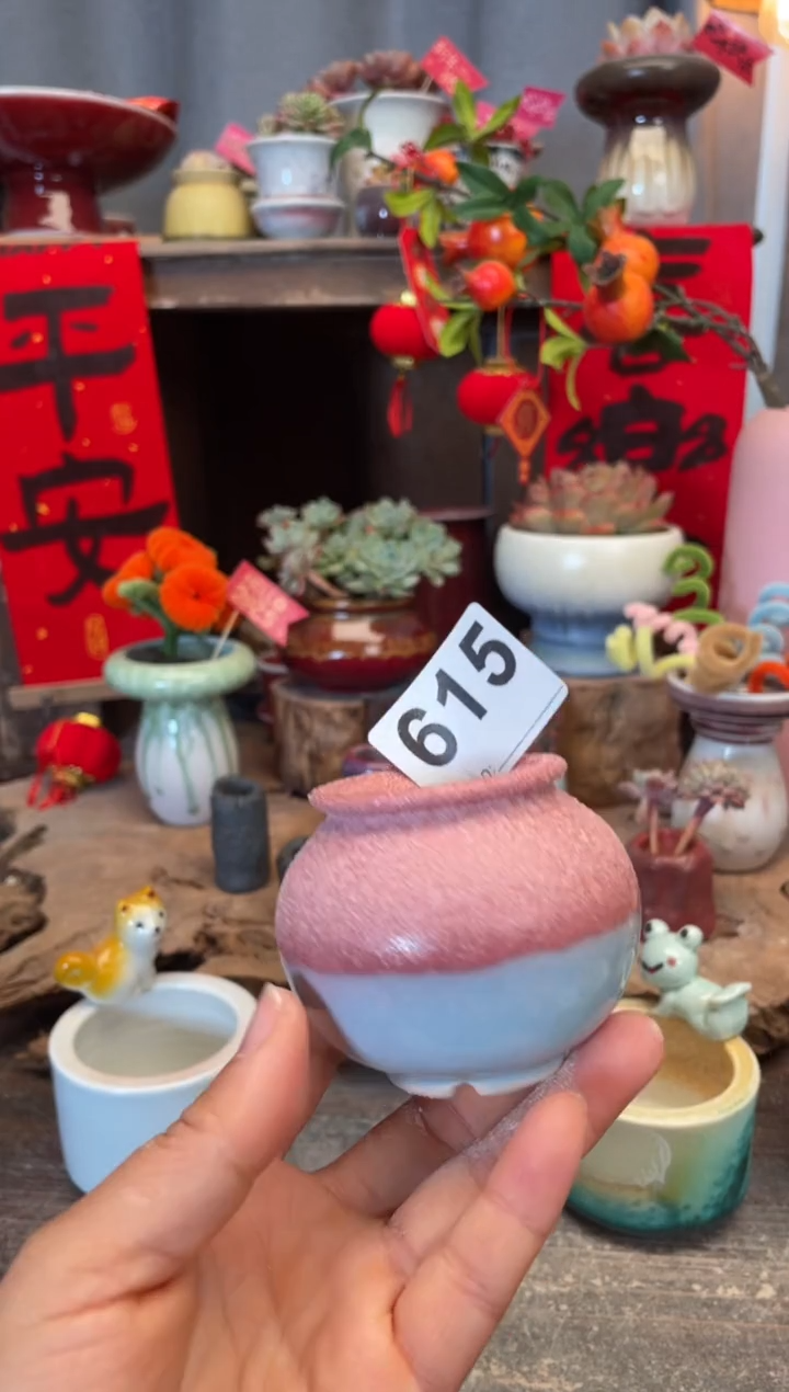 【闪购商品】摆件615知木小芳花盆