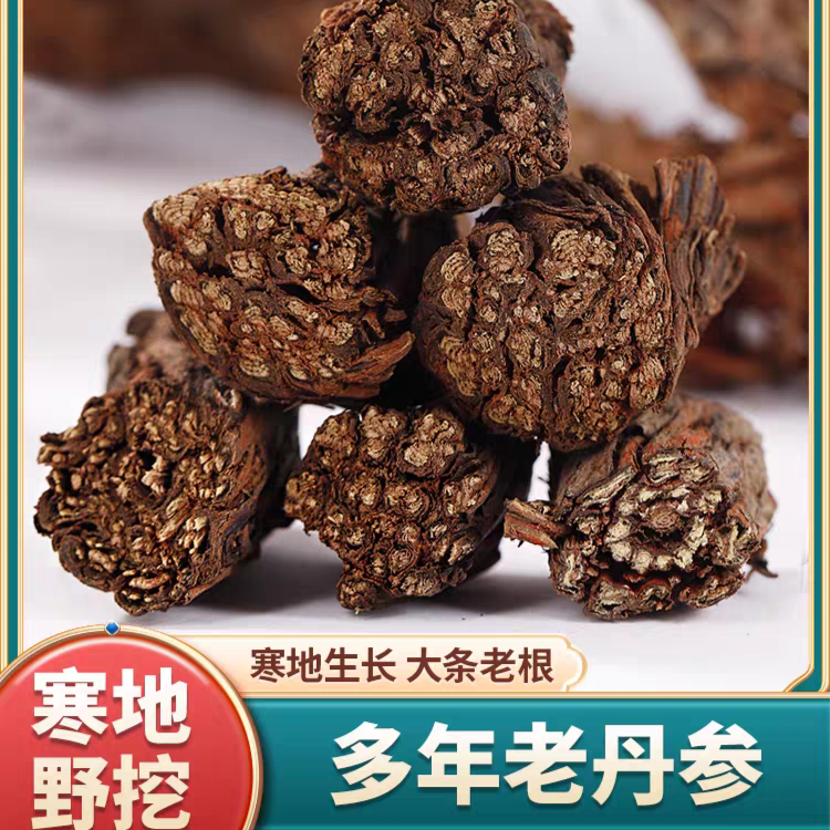 甘肃高海拔正宗纯野生紫丹参煲汤泡水佳品
