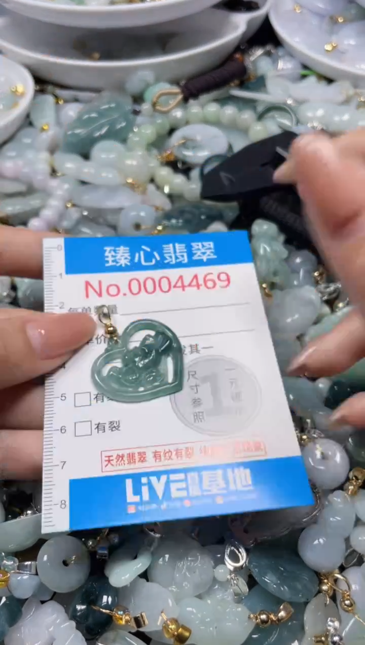 颈饰未镶嵌翡翠4469