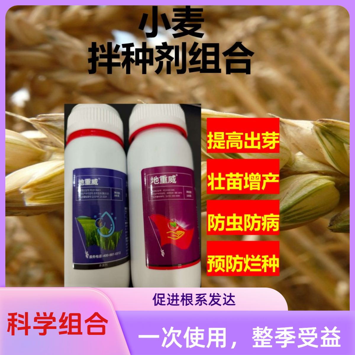 小麦拌种剂一次使用整季无忧防病防虫助产增收双瓶装