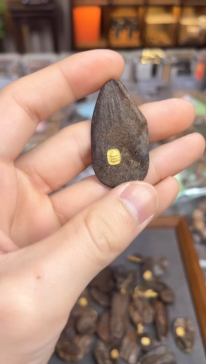 【闪购商品】沉香吊坠102号沉水文莱吊坠多样性发货1个