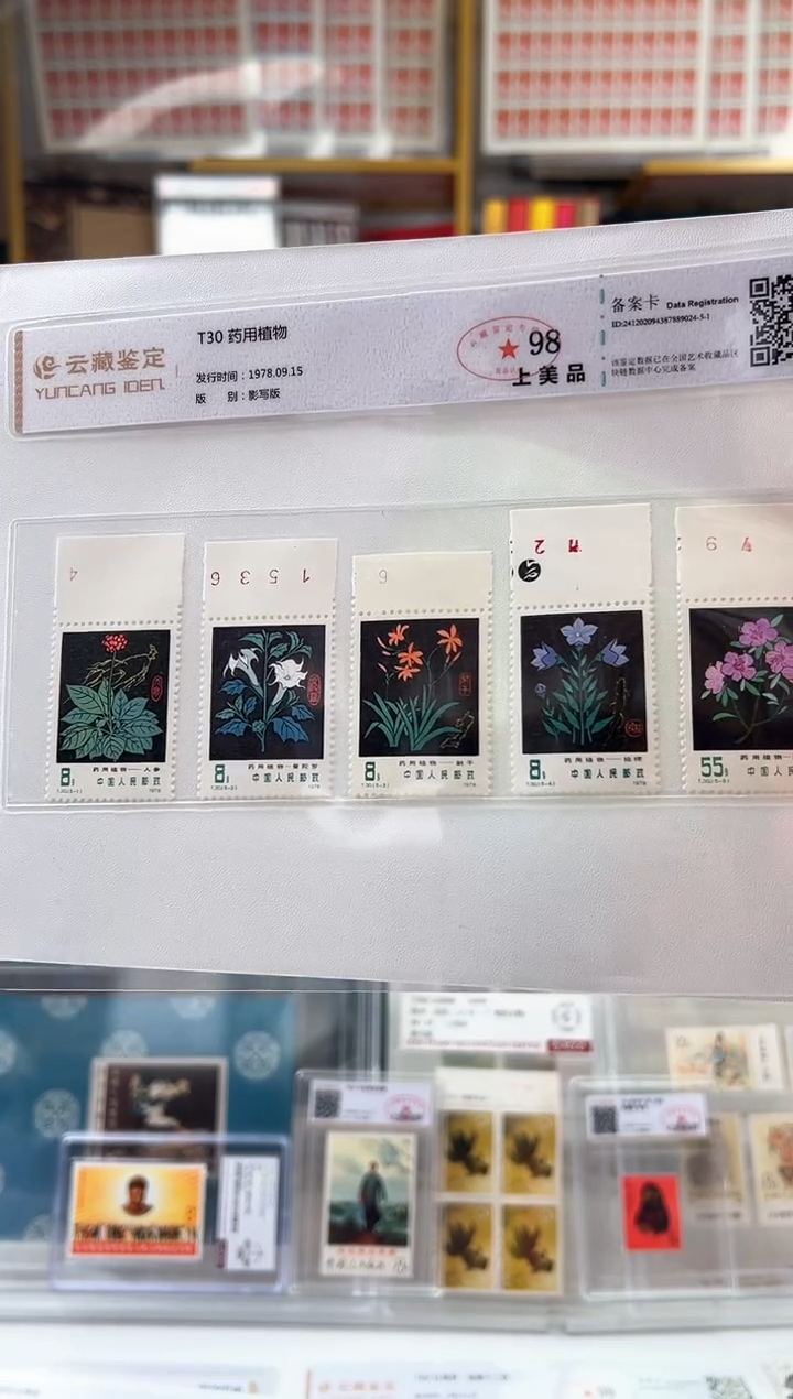 【闪购商品】t30 药用植物 带数字边