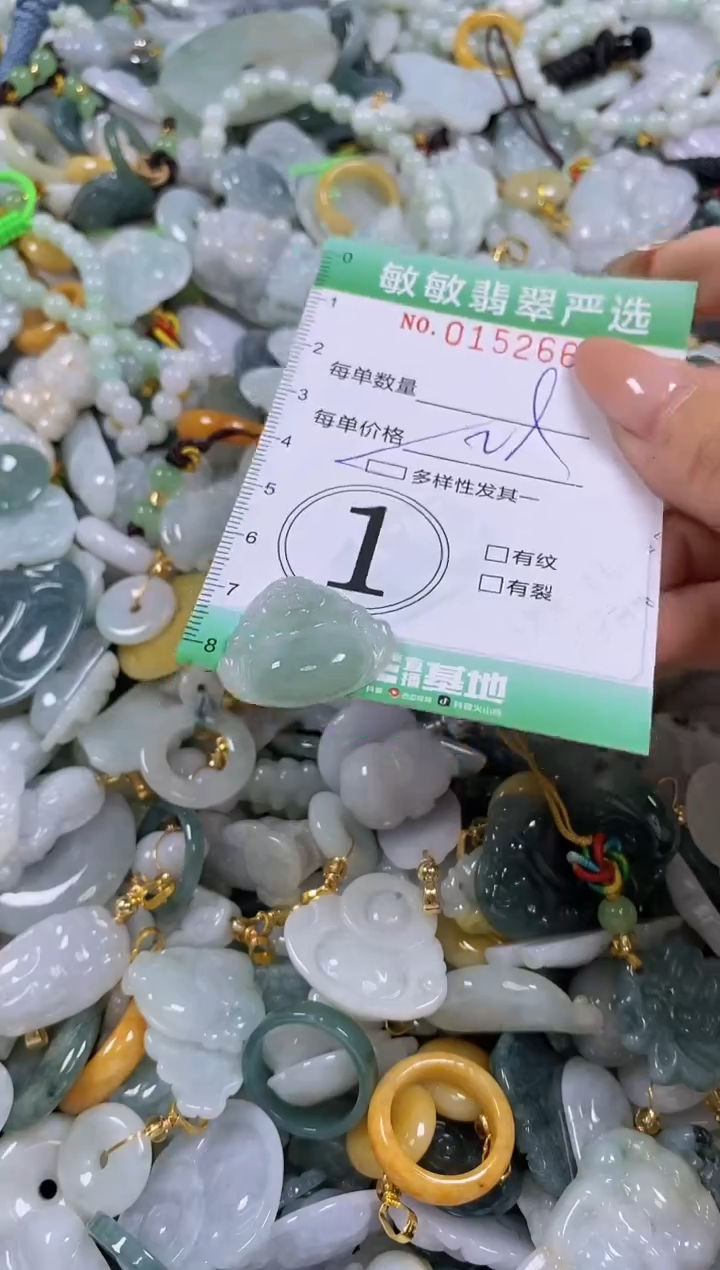 翡翠未镶嵌颈饰闪购0152661多样性发其一