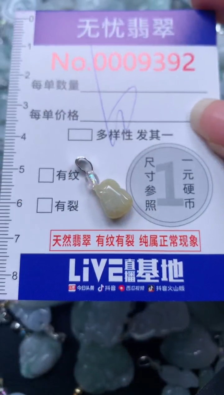 颈饰未镶嵌翡翠9392