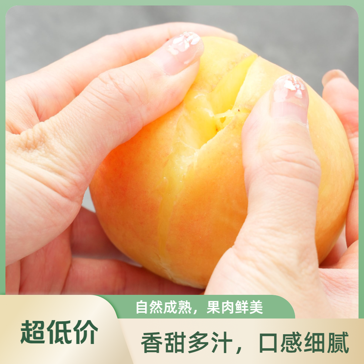 正宗上海南汇产地水蜜桃清甜可口水分多包甜包好吃烂果仅退款售后无忧上海市