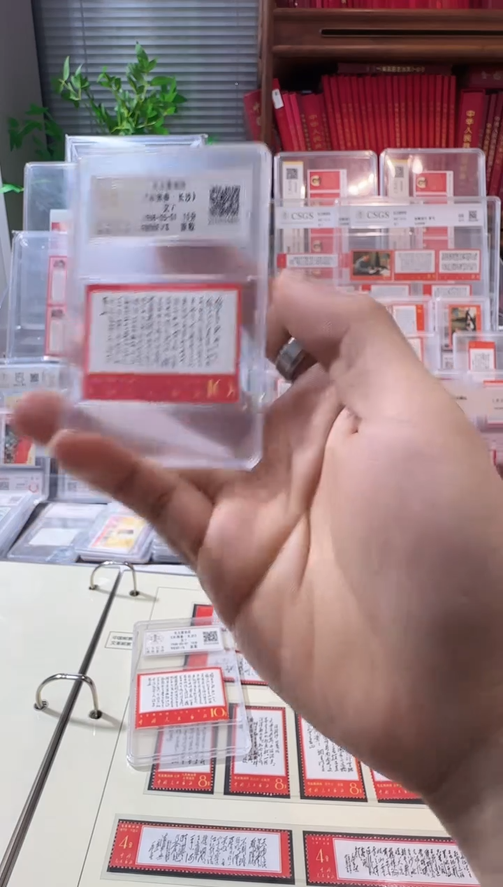 文7单枚 封装评级鉴定收藏