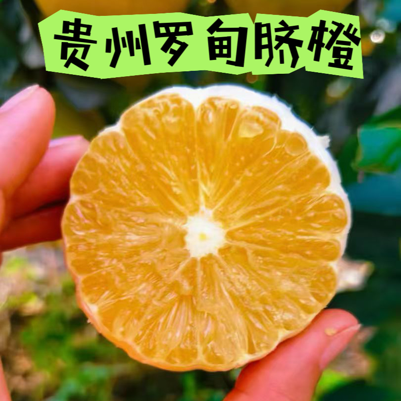 贵州罗甸正宗脐橙10斤果园直发橙子包邮皮薄肉厚多汁应季水果