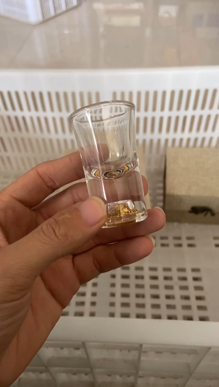 杯子陶无运费险有瑕疵的摄影的产品有使用过的痕迹有点脏介意勿拍
