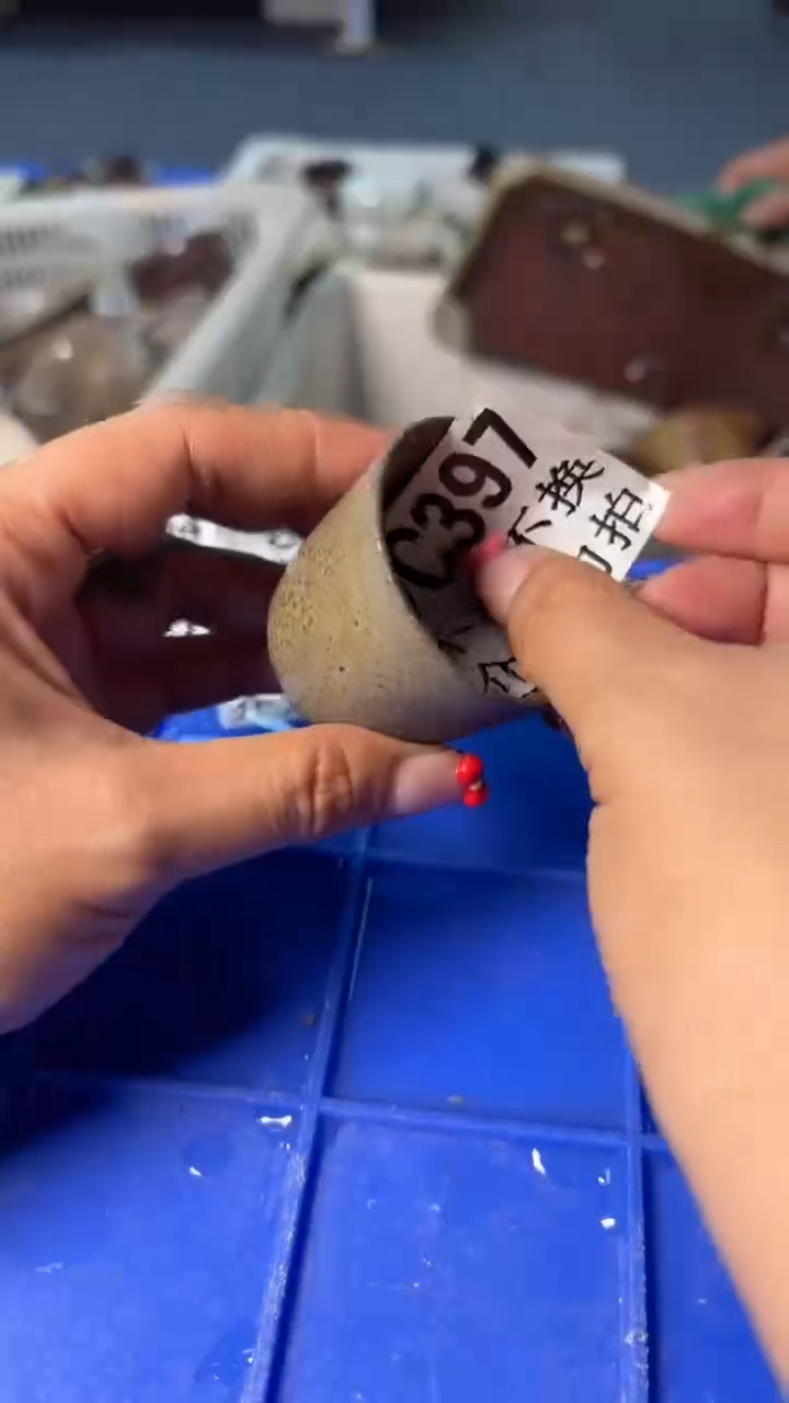 小龙堂不退不换397