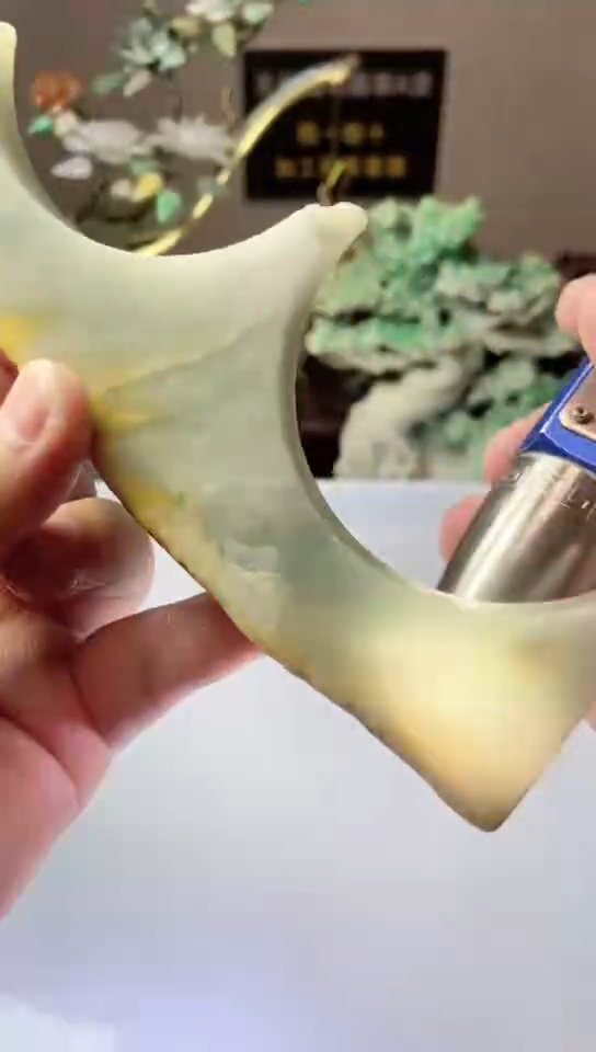 吊坠(不含链)未镶嵌翡翠大*菇翡翠