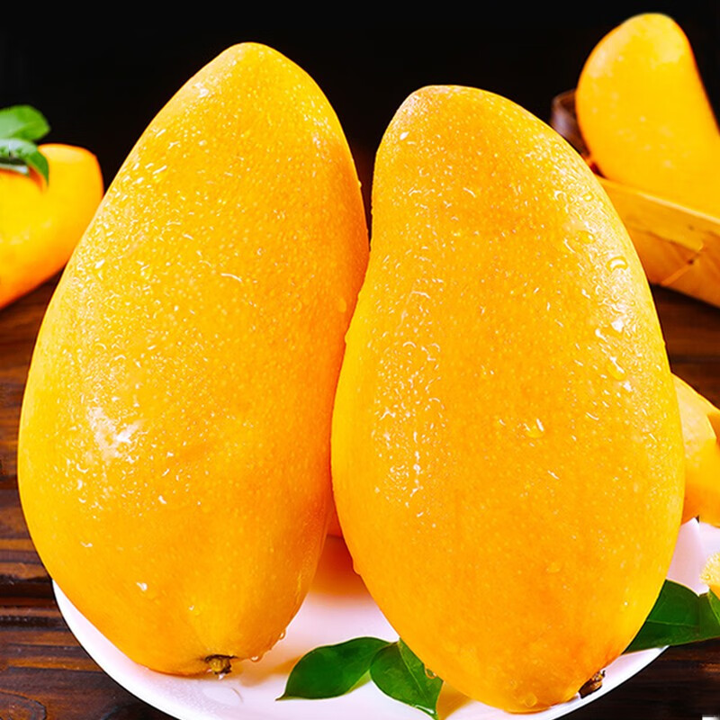 【正宗】越南进口黄皮金煌芒水仙芒应季新鲜热带水果皮薄核薄软糯