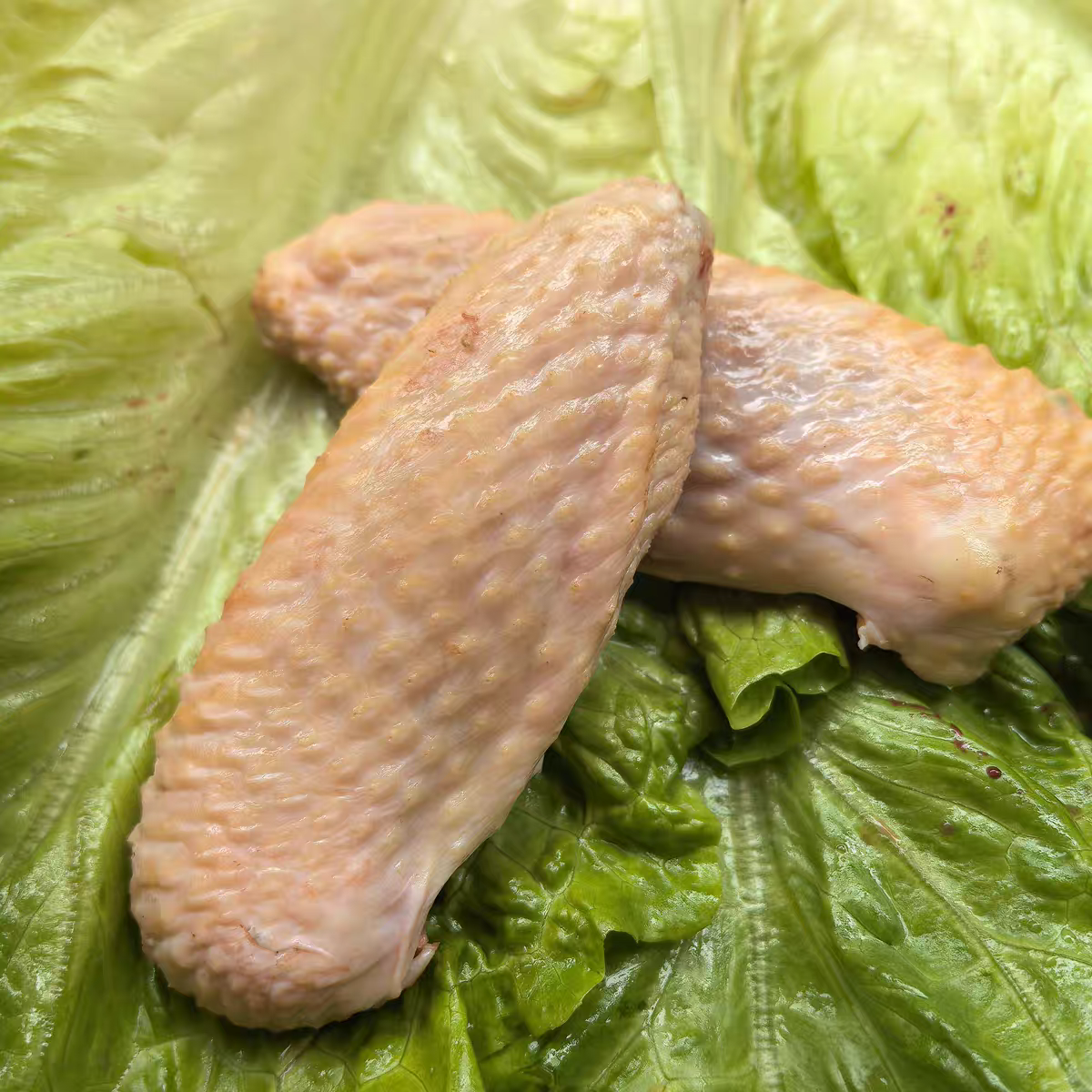 【昌吉毛姐新疆包邮】鲜切黑鸡鸡翅中 芦花鸡翅中 包冰率不含冰