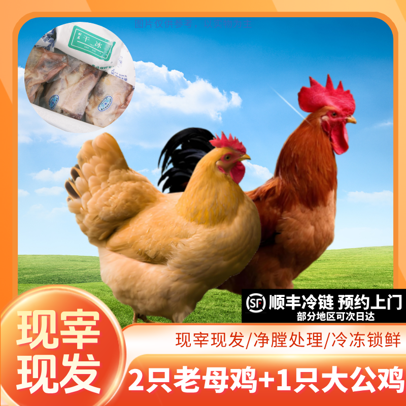 【买二送一】买两只老母鸡送一只大公鸡 宰杀好净重8.5斤 顺丰冷链直达  包冰率不含冰