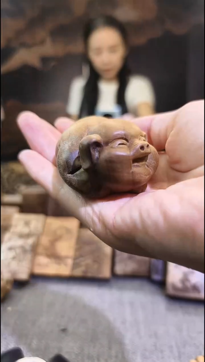 金丝楠      猪猪