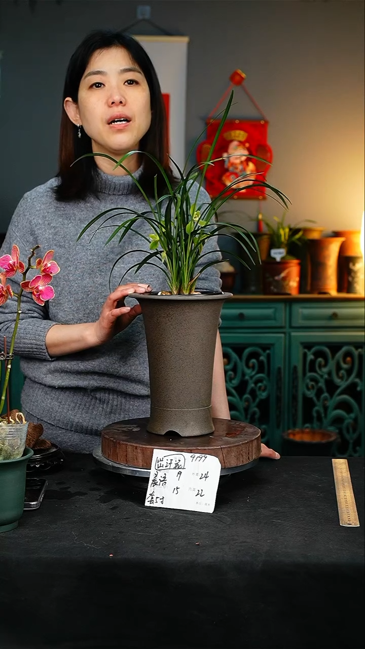 【闪购商品】紫砂花盆9199紫砂花盆