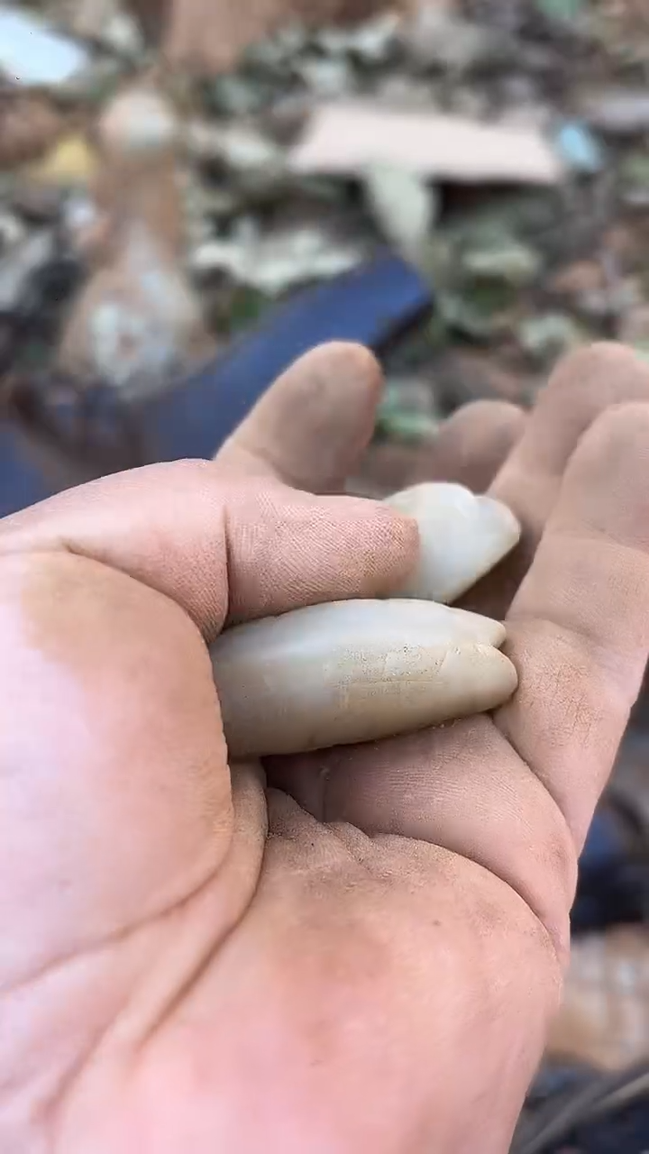 未镶嵌挂件翡翠收**道玉器玉器玉器玉器