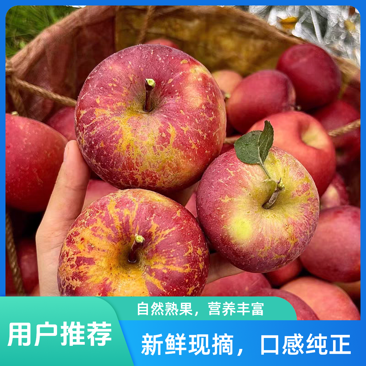 四川大凉山丑苹果 核心产区大凉山现采现摘现发应季新鲜水果老人小孩孕妈妈皆宜 现采现摘现发四川省