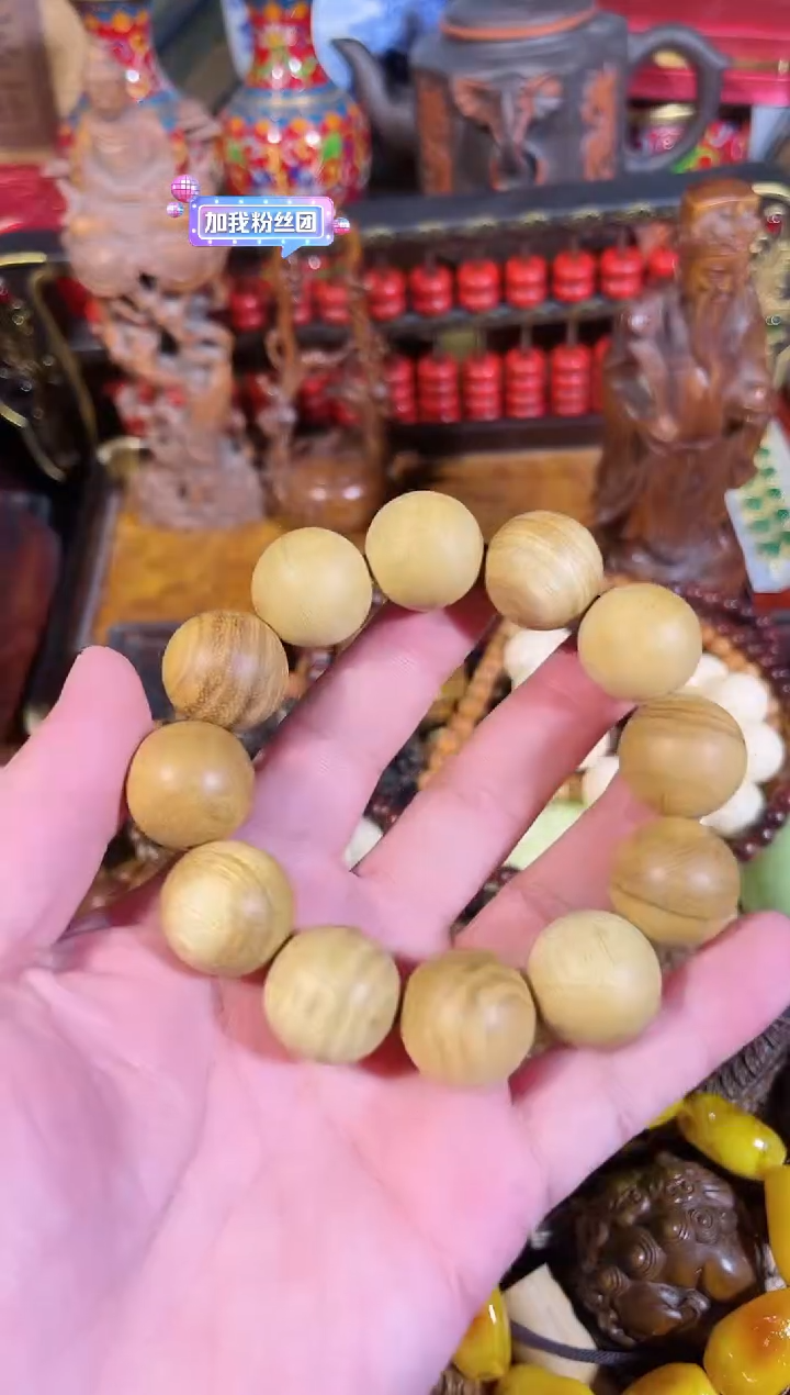 黄杨木1111111111111111111