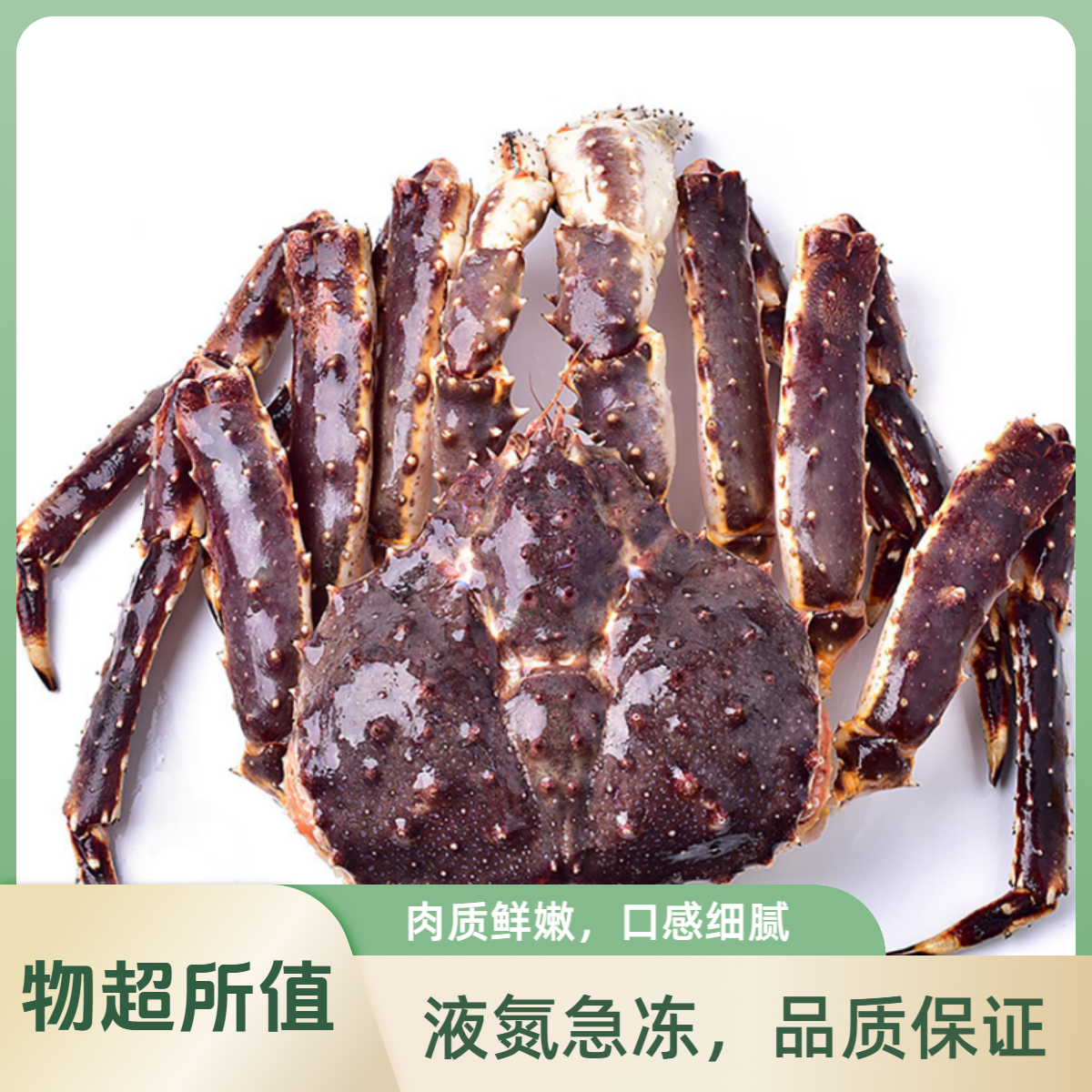 【新春】帝王蟹1只波龙1只液氮冷冻发货/顺丰冷链次日达