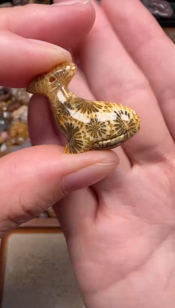 颈饰未镶嵌硅化珊瑚（珊瑚玉）166